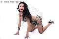 Foto Adriana Paulett Incontri Transescort Paese - 7