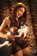 Foto Alessa Venezuelana Incontri Escort Verbania - 34