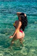 Foto Alessandra Xxii Incontri Transescort Gallarate - 41