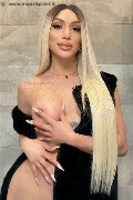Foto Angel Bunny Incontri Transescort Milano - 3