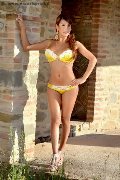 Foto Ariadna D'alessandro Incontri Transescort Milano - 83