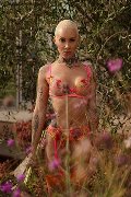 Foto Ath�na Incontri Trans Milano - 9