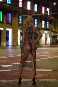 Foto Ath�na Incontri Transescort Roma - 16