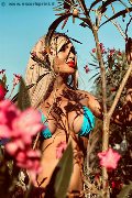 Foto Chrystal Medeiros Pornostar Incontri Trans Roma - 38