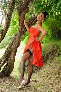 Foto Keylla Marques Pornostar Xxl Incontri Trans Fortaleza - 62