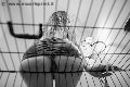 Foto Lady Giuliette Incontri Mistress Verona - 16