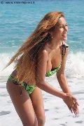 Foto Liisa Asiatica Ladyboy Incontri Transescort - 311