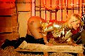 Foto Mary Blond Incontri Transescort Biella - 246