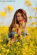 Foto Monica Kicelly Incontri Transescort Rimini - 197