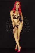 Foto Nady Incontri Transescort Vicenza - 139