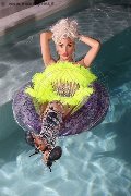 Foto Nina La Divina Incontri Transescort Ibiza - 82