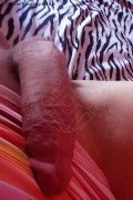 Isernia Trans Escort Alessandra Dior 371 52 12 112 foto selfie 88