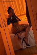 Arezzo Trans Escort Bruna Menegassy 333 19 26 407 foto selfie 7