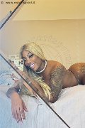 Milano Trans Campbell 393 33 57 541 foto selfie 13