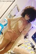 Gallarate Trans Escort Daysy 339 33 89 602 foto selfie 13