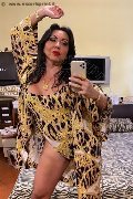 Alba Adriatica Trans Escort Emme 333 16 48 972 foto selfie 138