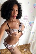 Mantova Trans Gisella Evangelista 348 57 51 665 foto selfie 1