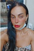 Bergamo Trans Kartika 349 22 31 753 foto selfie 245