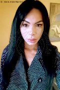 Bari Trans Kelly Melo Pornostar 350 80 96 697 foto selfie 17