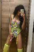 Legnano Trans Escort Miele 331 78 08 280 foto selfie 66