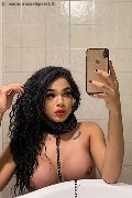 Legnano Trans Escort Miele 331 78 08 280 foto selfie 36