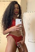 Legnano Trans Escort Miele 331 78 08 280 foto selfie 79