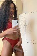 Novara Trans Escort Miele 331 78 08 280 foto selfie 80