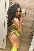 Novara Trans Escort Miele 331 78 08 280 foto selfie 4