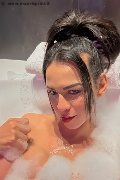 Conegliano Trans Natalia Rodrigues Pornostar 392 11 96 784 foto selfie 3