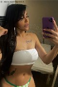 Somma Lombardo Trans Escort Nicolly Hilton 392 33 27 327 foto selfie 51