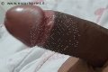 Prato Trans Taina Oliveira 328 53 82 487 foto selfie 173