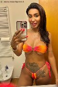 Verona Trans Escort Thayys Castro 329 72 89 046 foto selfie 10