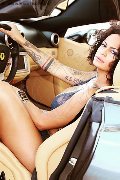 Foto Serena Incontri Transescort Bologna - 18