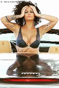 Foto Serena Incontri Transescort Bologna - 19