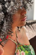 Foto Serena Incontri Transescort Bologna - 10