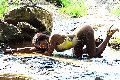 Foto Sexy Venere Nera Incontri Trans Aosta - 9