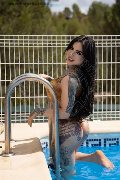 Foto Ts Clary Santos Incontri Trans Madrid - 7