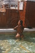 Foto Alessandra Toledo Pornostar Incontri Trans Rimini - 21