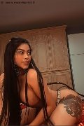 Foto Anabel Incontri Escort Genova - 3