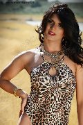 Foto Flavia Bambola Incontri Trav Basilea - 88