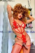 Foto Hot Stella Incontri Trans Milano - 5