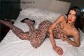 Foto Nicole Andrade Incontri Transescort Milano - 24