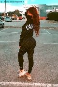 Foto Safina Incontri Transescort Torino - 63