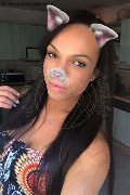 Treviso Trans Dior 347 28 25 420 foto selfie 105