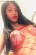 Milano Trans Mikaella Pimentell Pornostar 329 34 10 689 foto selfie 56