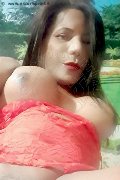 Rovigo Trans Nikoll 350 83 00 505 foto selfie 5