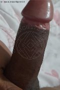 Prato Trans Tain� Oliveira 328 53 82 487 foto selfie 168